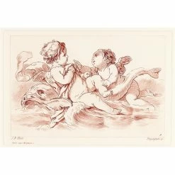 Deux Amours Avec Un Dauphin