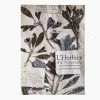 L'herbier Du Museum - L'aventure D'une Collection