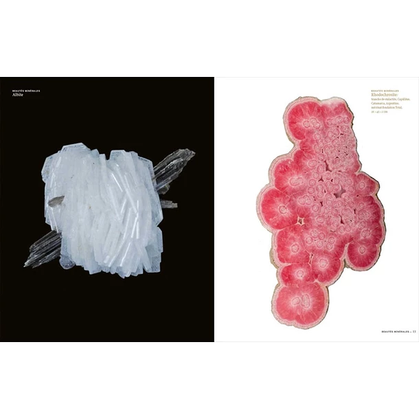 Trésors De La Terre. Collections De La Galerie De Minéralogie – Image 5