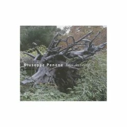 Giuseppe Penone - Arbre Des Voyelles