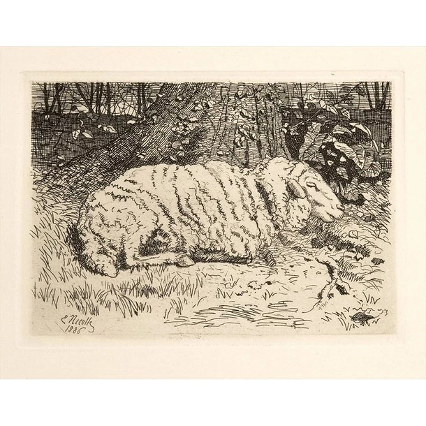 Le Mouton - Emile-Frédéric Nicolle – Image 2
