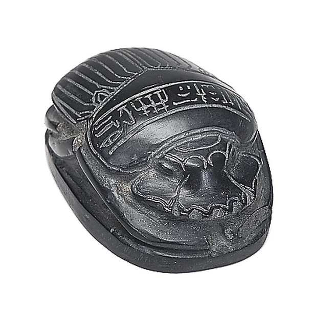 Scarabée De Bordeaux