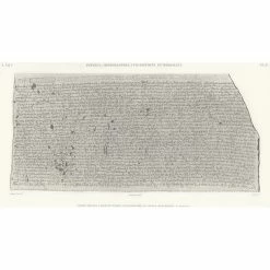 Pierre De Rosette - Partie Centrale - Égyptien Démotique