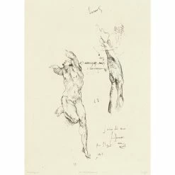 Étude D'homme Nu Et étude De Bras - Michel-Ange