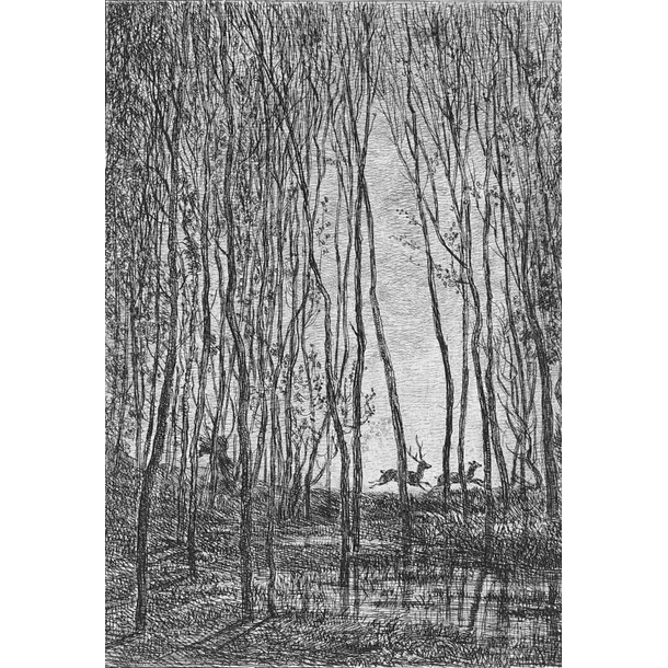 Les Cerfs Sous Bois - Charles-François Daubigny