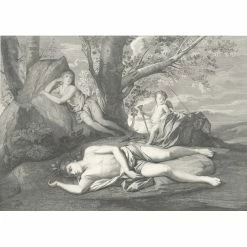 Écho Et Narcisse Ou La Mort De Narcisse