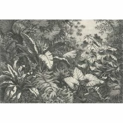 Groupe De Plantes Exotiques