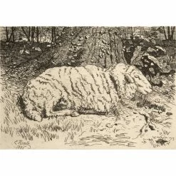 Le Mouton - Emile-Frédéric Nicolle