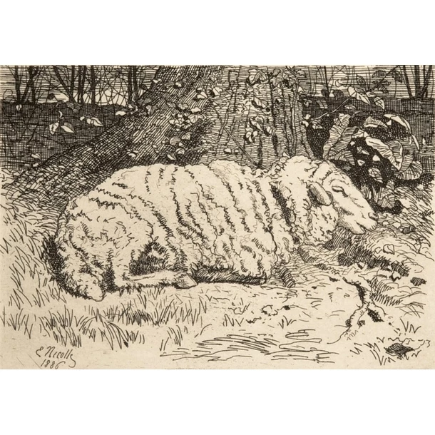 Le Mouton - Emile-Frédéric Nicolle