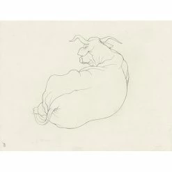 Corcelles - Cécile Reims