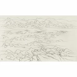 Déserts - Cécile Reims