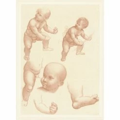 Étude D'enfant - Léonard De Vinci