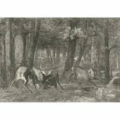 Combat De Cerfs - Gustave Courbet