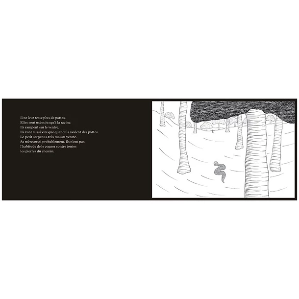 Histoire Du Petit Serpent - Léopold Chauveau – Image 4