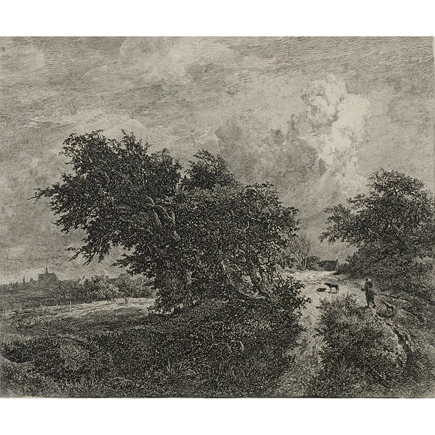 Le Buisson - Van Ruisdael