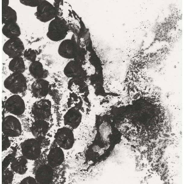 « La Rose Du Louvre, 2020 » - Jean-Michel Othoniel – Image 4