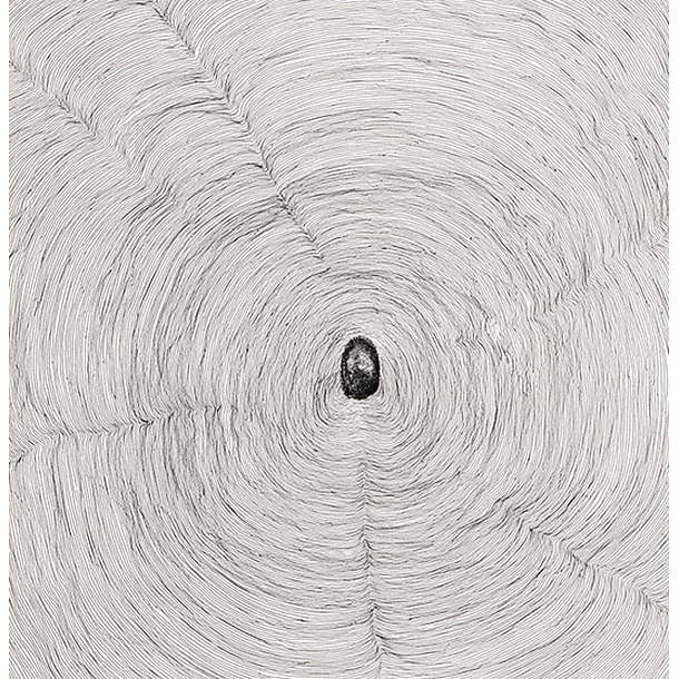 Propagazione, 2009 - Giuseppe Penone – Image 3