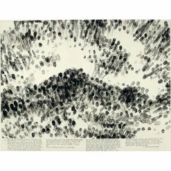 Blind Time VI, (Temps Aveugle VI) - Robert Morris