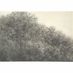 Allant Vers Les Roches Noires, 2001 - Bertrand Henry