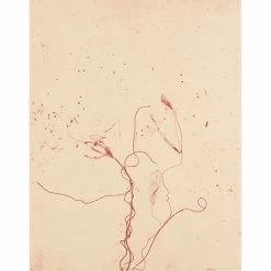 Celles Qui Disparaissent - Celles Qui Se Créent (ouest) - Mireille Gros