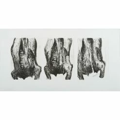 Carcasses - Philippe Cognée