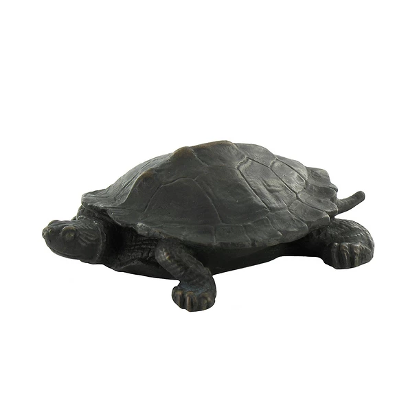 Tortue Barye - Bronze – Image 2