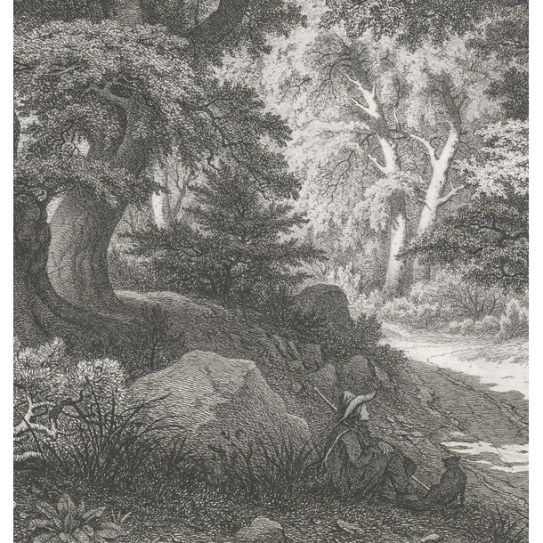 Forêt De Fontainebleau : Le Charlemagne Et Le Roland – Image 4