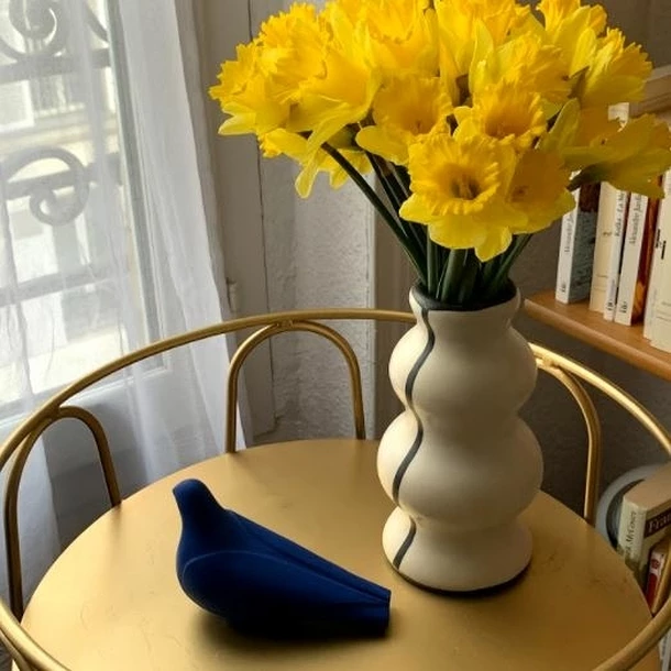 Colombe - Blanche – Image 3