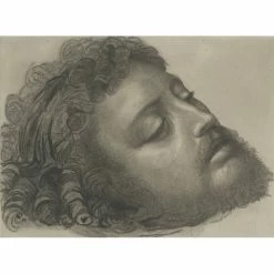 Saint Jean-Baptiste - Andrea Solario