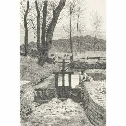 La Vanne à Blainville-Crevon - Nicolle