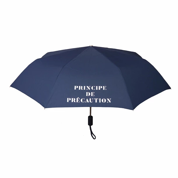 Parapluie Pliable Conseil Constitutionnel - Principe De Précaution – Image 2