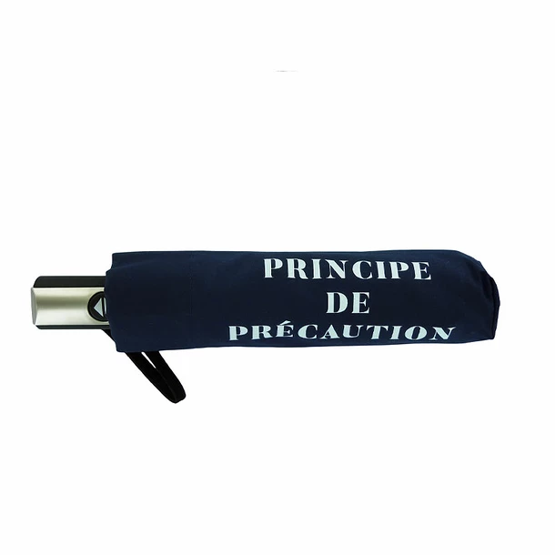 Parapluie Pliable Conseil Constitutionnel - Principe De Précaution – Image 3