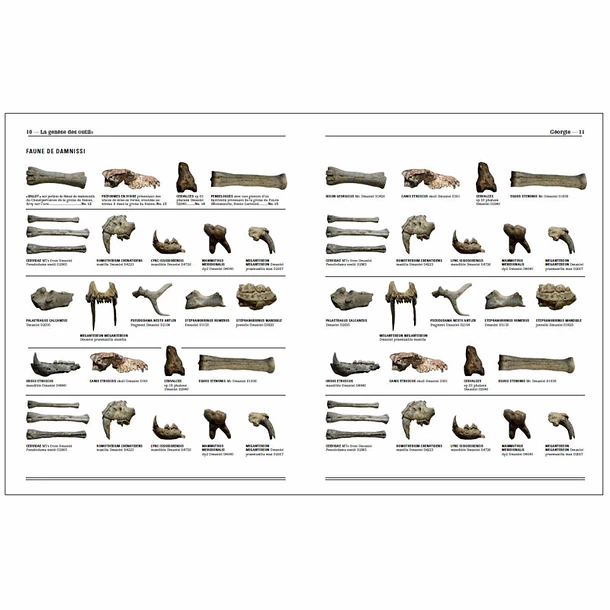 Homo Faber - 2 Millions D'années D'histoire De La Pierre Taillée - De L'Afrique Aux Portes De L'Europe - Catalogue D'exposition – Image 4