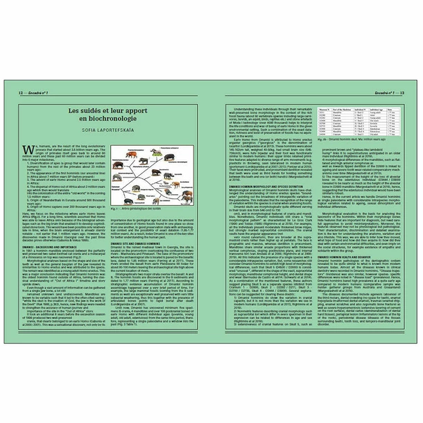 Homo Faber - 2 Millions D'années D'histoire De La Pierre Taillée - De L'Afrique Aux Portes De L'Europe - Catalogue D'exposition – Image 5