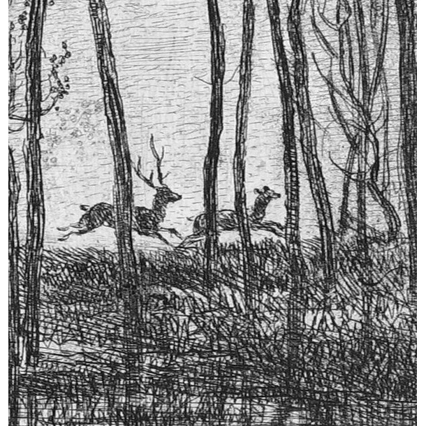 Les Cerfs Sous Bois - Charles-François Daubigny – Image 3