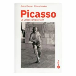 Picasso Ce Volcan Jamais éteint