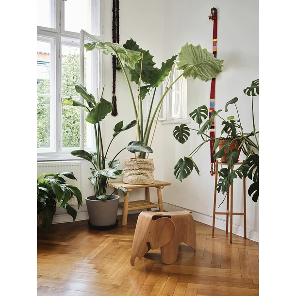 Éléphant Eames Petit Modèle - Rose – Image 3