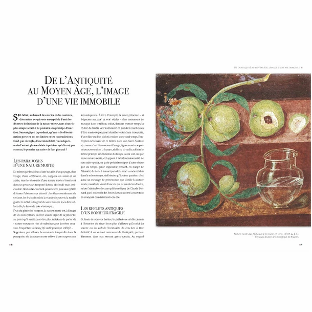 Les Plus Belles Natures Mortes - Une Histoire Des Choses De La Préhistoire à Nos Jours – Image 2