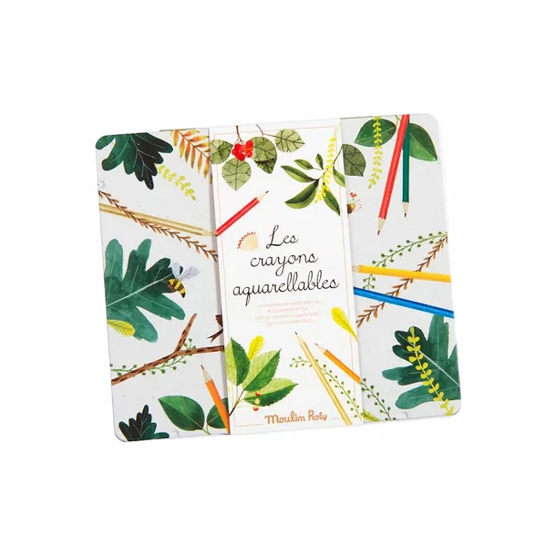 Boîte De 24 Crayons Aquarellables - Moulin Roty – Image 2