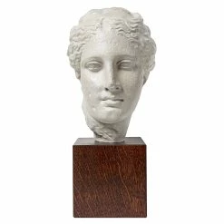 Tête De La Déesse Hygie