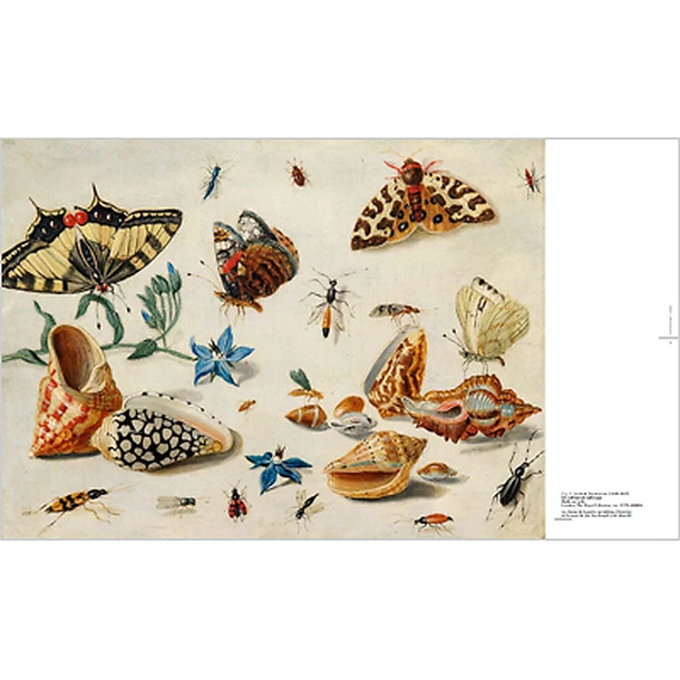 Catalogue D'exposition - Beauté Animale – Image 4